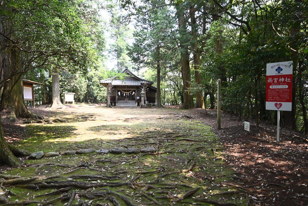 トロロの森の中にある雨宮神社