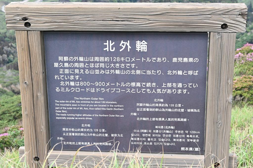 仙酔峡に咲き誇るツツジ(ミヤマキリシマ)