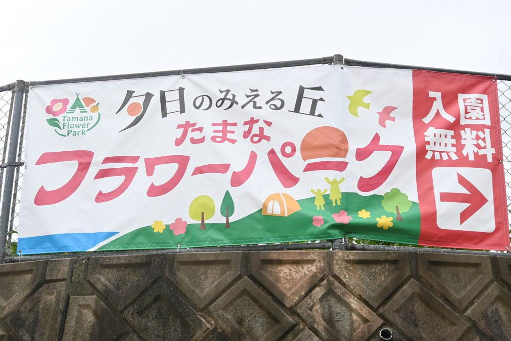 【玉名市横島町】観光農園・キャンプ・BBQ等楽しめる！たまなフラワーパークさん