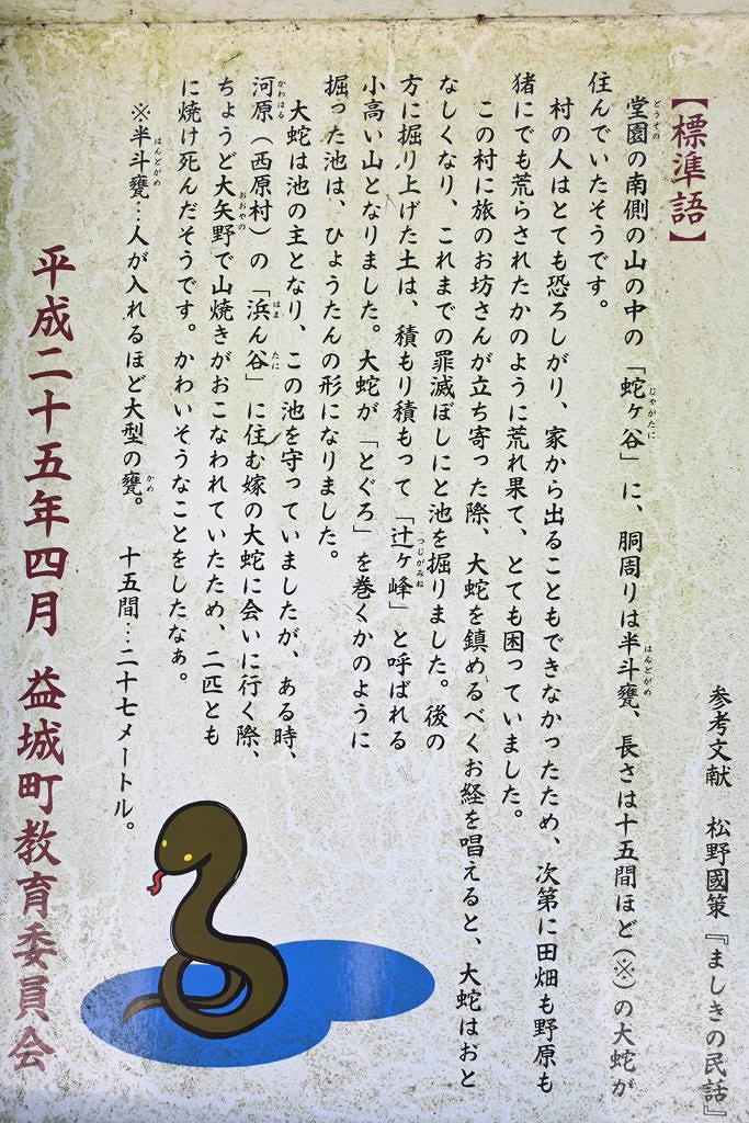【益城町大字上陳】「大蛇伝説の池」に咲く蓮