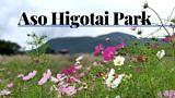 【産山村田尻】名水百選の1つ!池山水源
