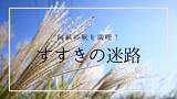 【阿蘇市一の宮町】自然が作り出す氷の芸術!古閑の滝