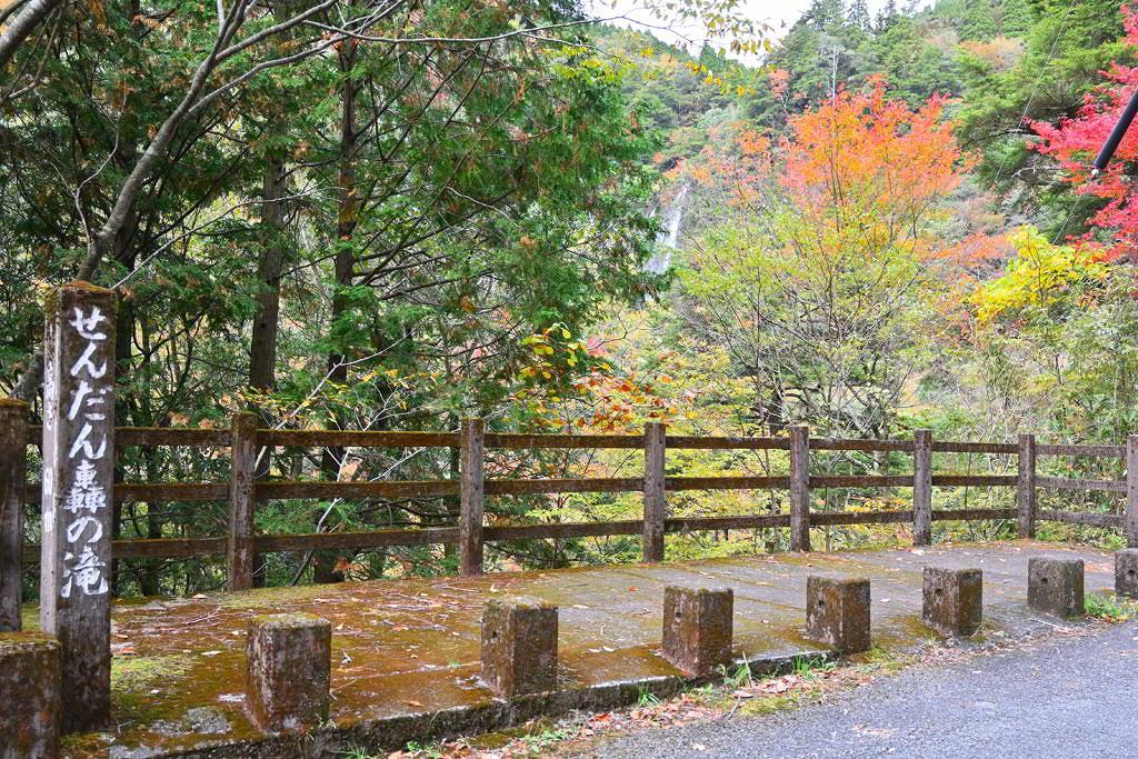 【八代市泉町】紅葉シーズンには欠かせない！自然豊かな五家荘