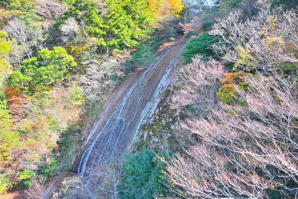 【水上村江代】紅葉彩る白水自然森林公園と2つの吊橋