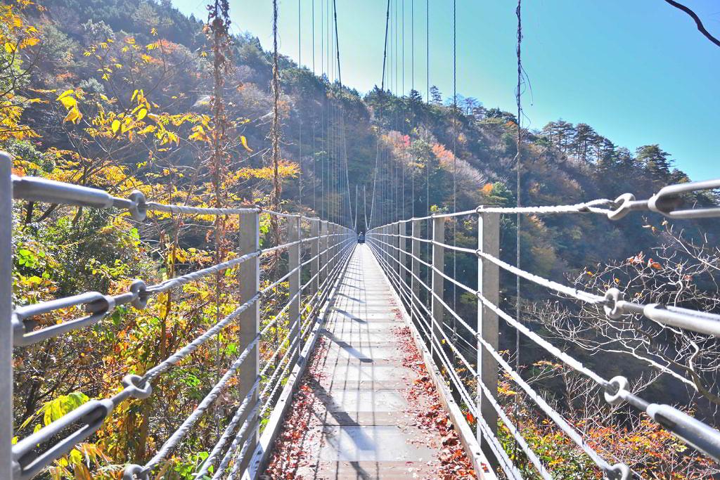 【水上村江代】紅葉彩る白水自然森林公園と2つの吊橋