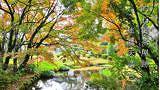 【阿蘇市一の宮町】自然が作り出す氷の芸術!古閑の滝