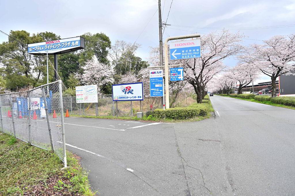 【大津町平川】長く続く桜のトンネル！大津町・ホンダ桜並木