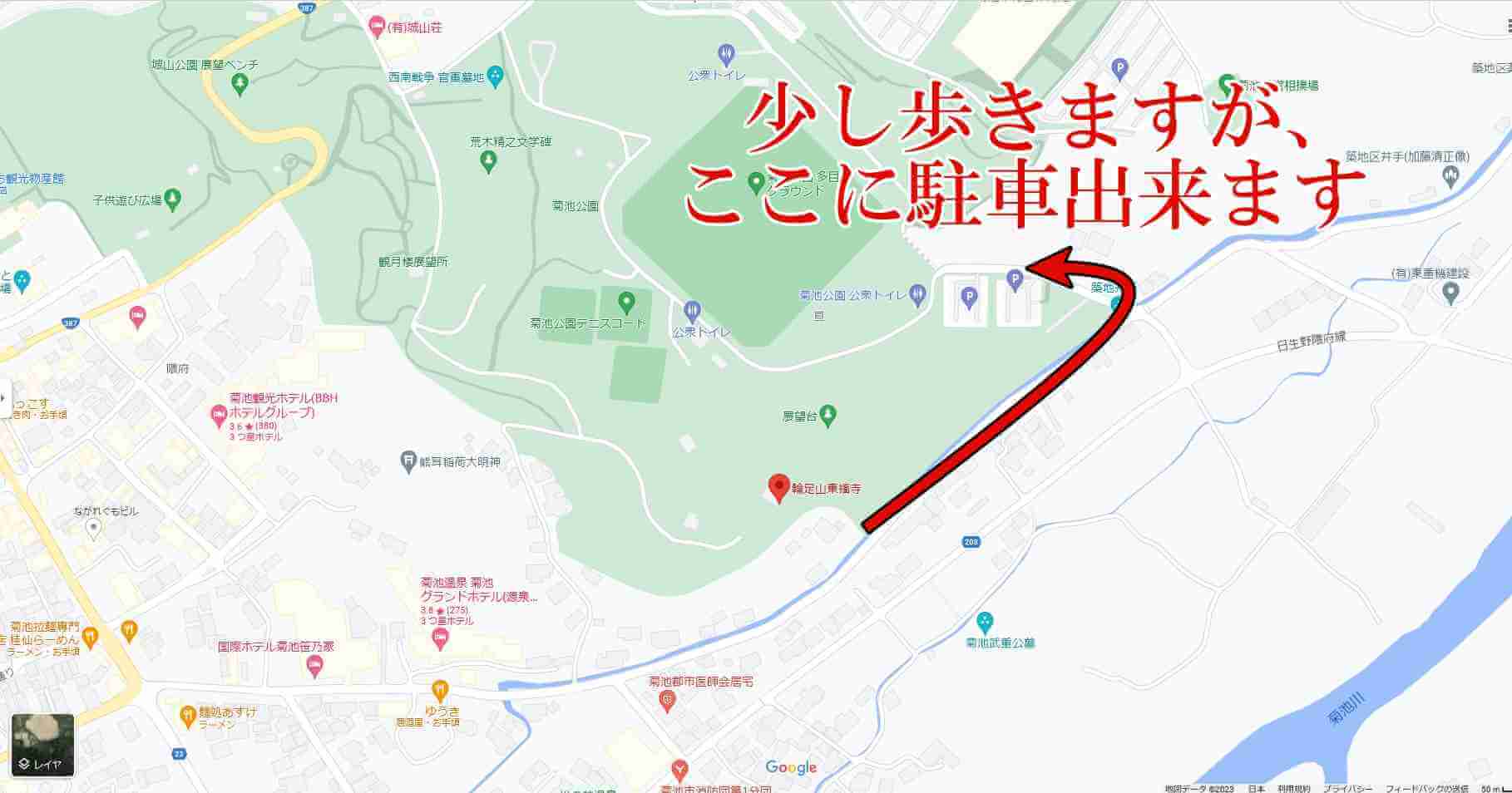【菊池市亘】輪足山東福寺の境内に咲かせるアイラトビカズラ