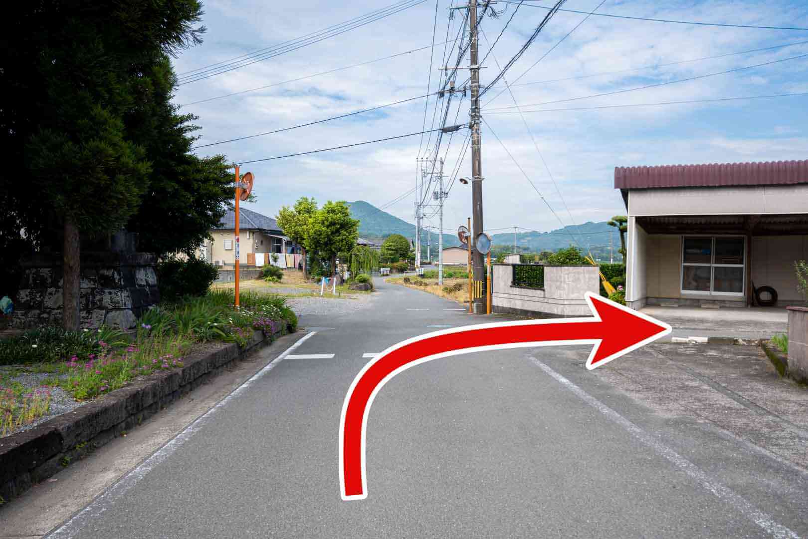 【御船町小坂】買い物ついでに花鑑賞!御船のひまわり畑 熊本でがまださなんたい!のblog